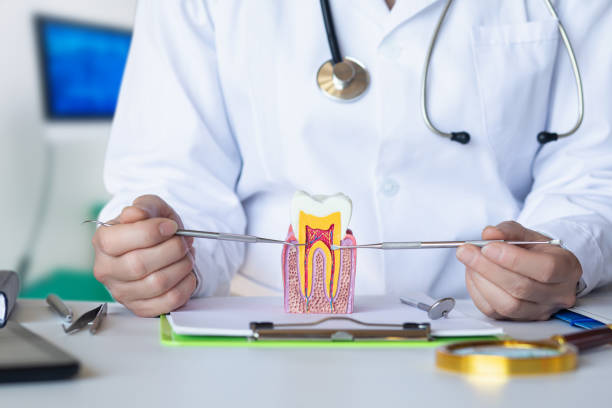 Best Knocked-Out Tooth Emergency  in Tremont, IL